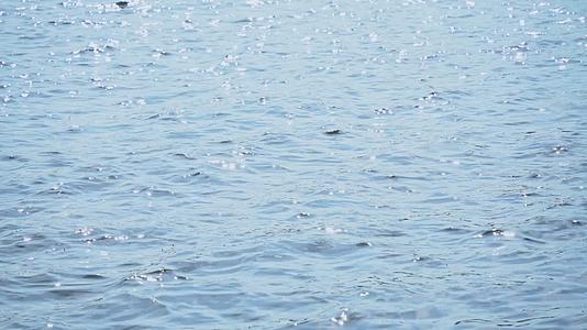 唯美的波光粼粼金色水面湖面江面湖水波纹视频的预览图
