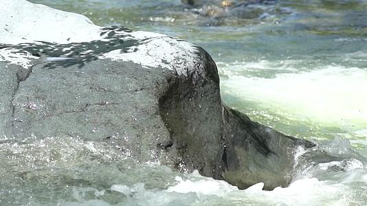 4K奔腾的河水石头空镜意境实拍视频视频的预览图