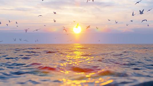 清晨海面日出海鸥群飞翔唯美风景视频的预览图