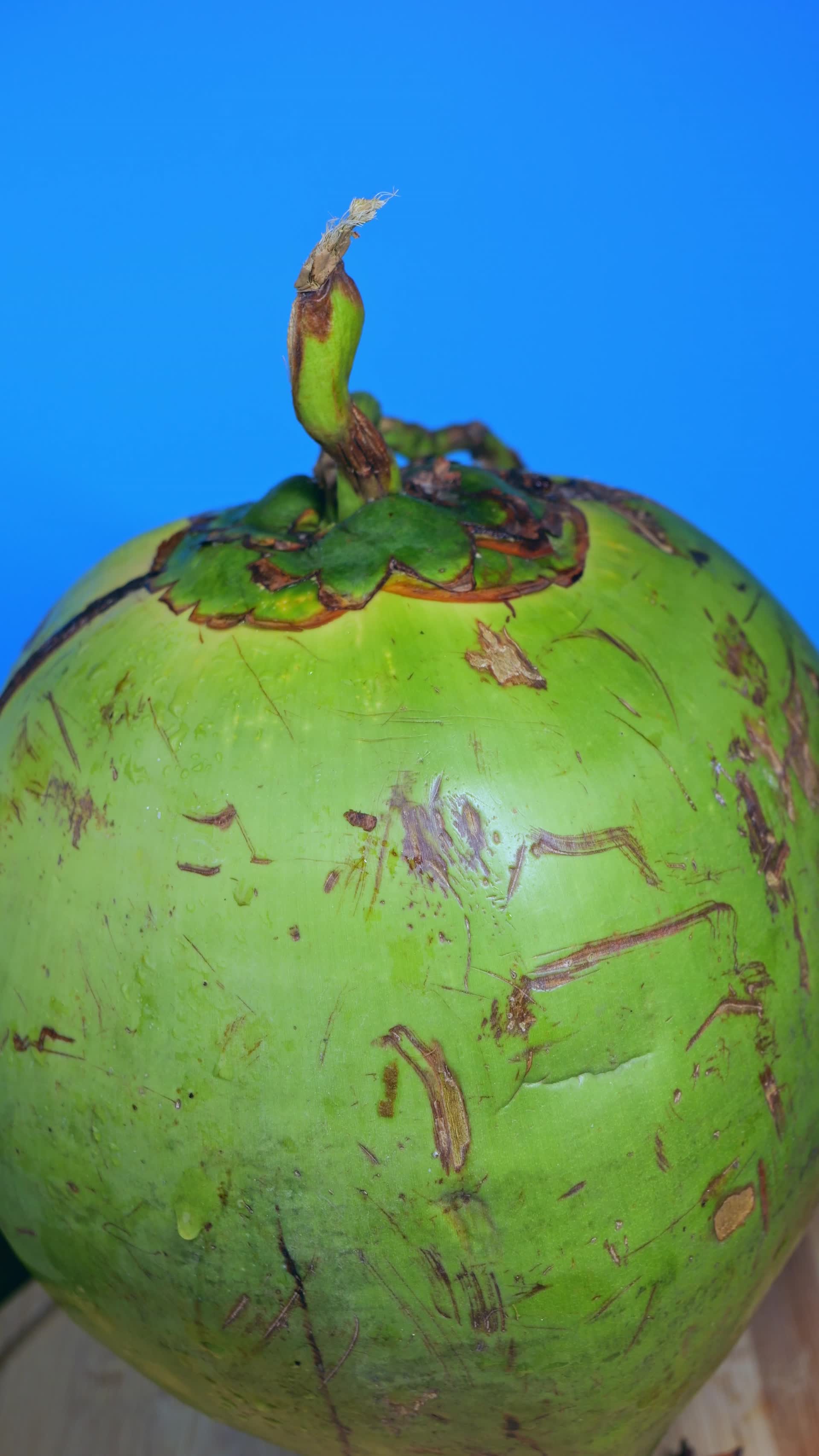 海南椰青带皮椰子椰汁视频的预览图