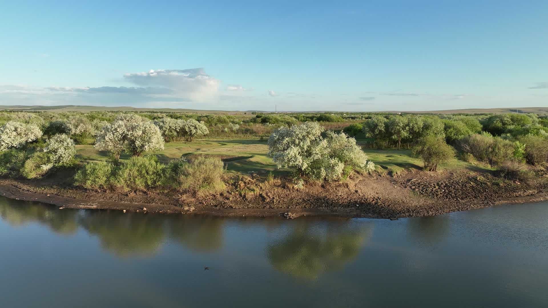 航拍初夏海拉尔河湿地风光视频的预览图