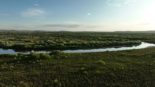航拍海拉尔河湿地初夏风景野花山丁子花视频的预览图