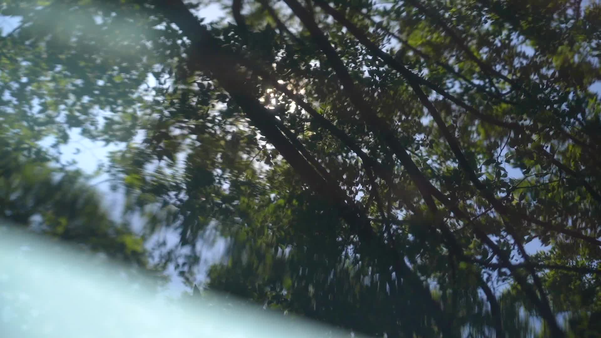 阳光下树荫生活夏季知了热天气视频的预览图