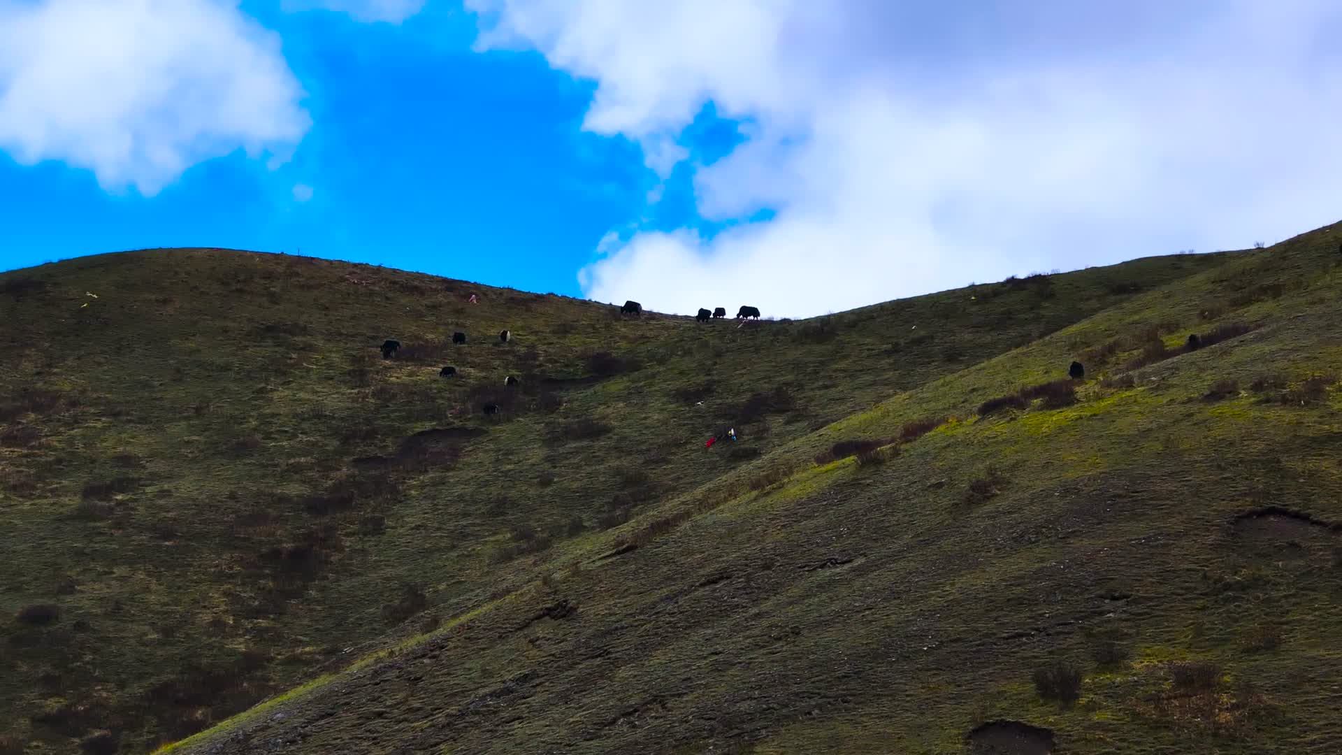 4K航拍四川甘孜康定市雅拉雪山无限自然风景视频的预览图