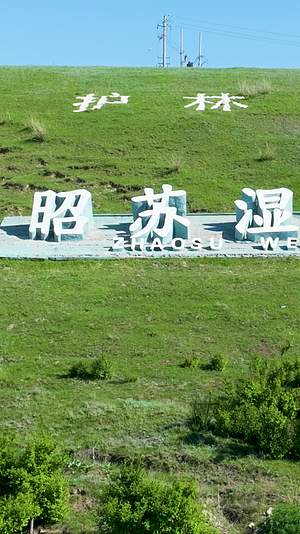 高清竖屏航拍伊梨昭苏草原景色视频的预览图