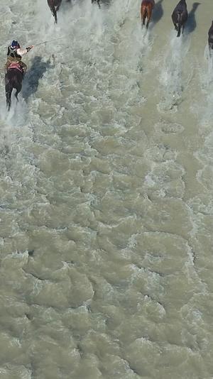 高清竖屏航拍昭苏草原骏马飞奔在特克斯河视频的预览图