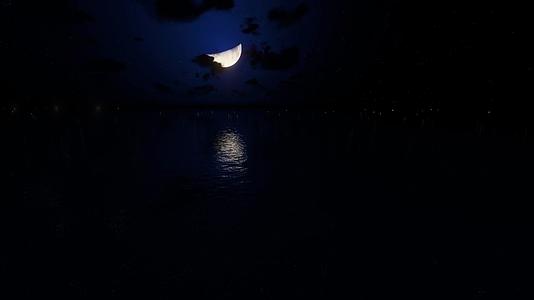 夜晚月亮视频的预览图