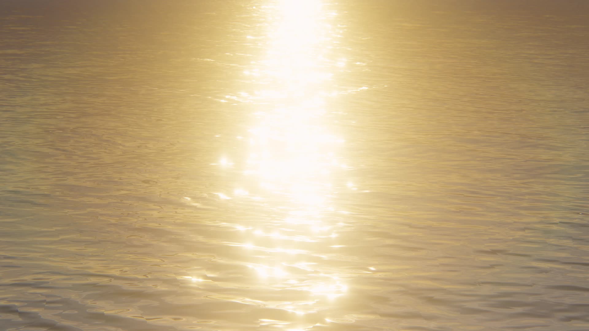 金色湖面视频的预览图