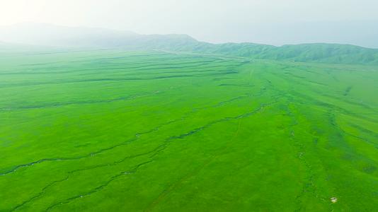 4K航拍新疆满屏那拉提绿色草原美景视频的预览图