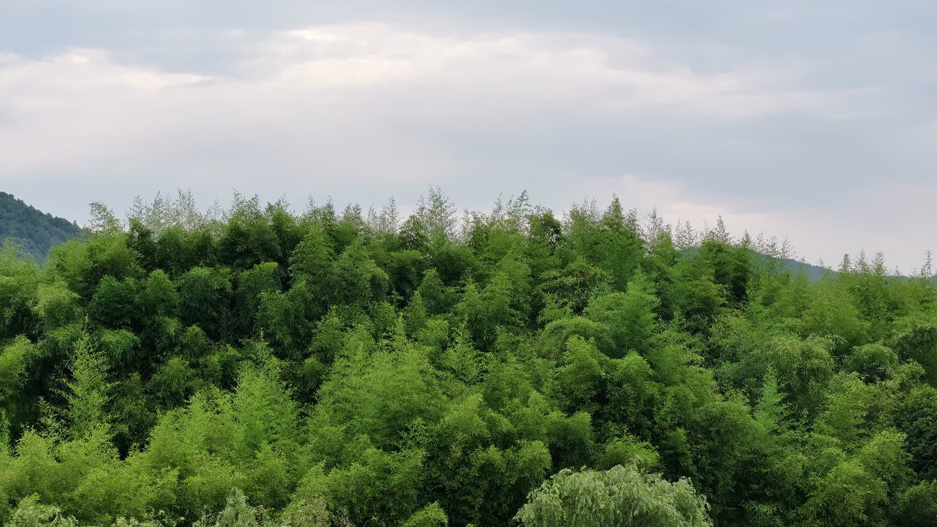 航拍60P天空与山林交界视频的预览图