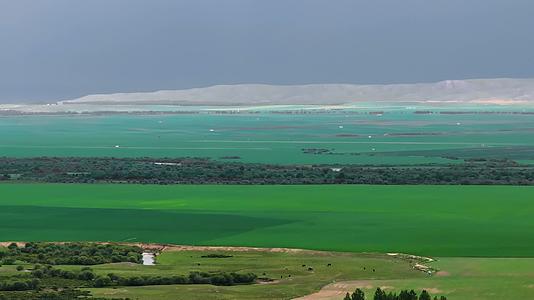 4K航拍新疆伊犁昭苏夏塔景区宽阔的草原视频的预览图