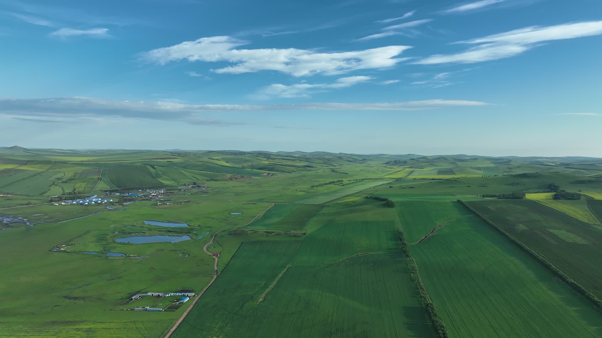 航拍草原夏日田野风景视频的预览图