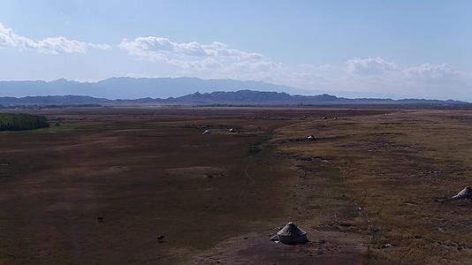 B新疆北疆草场蒙古包视频的预览图
