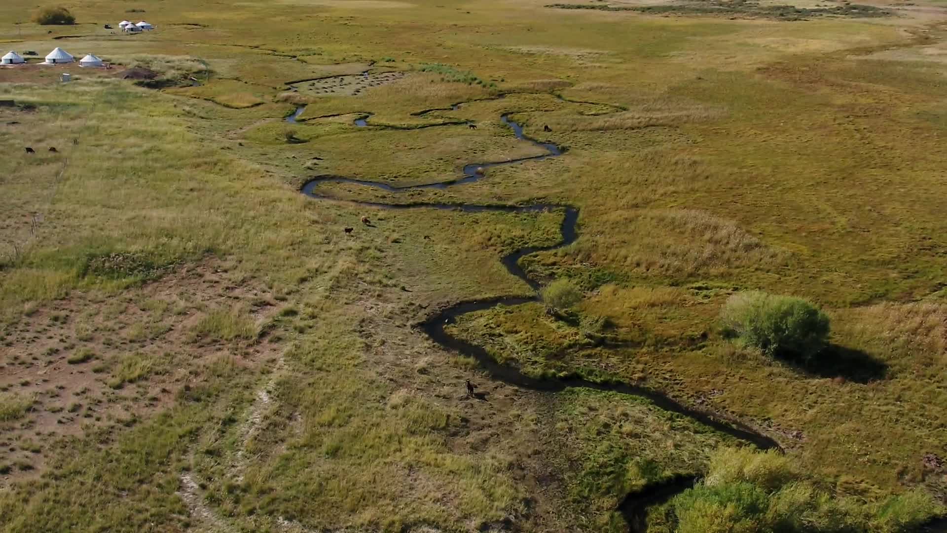 B新疆准噶尔盆地额尔齐斯河1视频的预览图