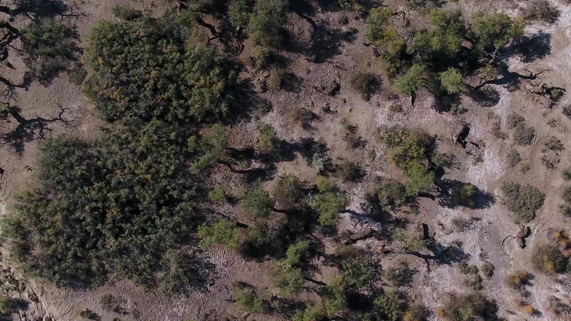 B新疆准噶尔盆地荒漠绿洲2视频的预览图