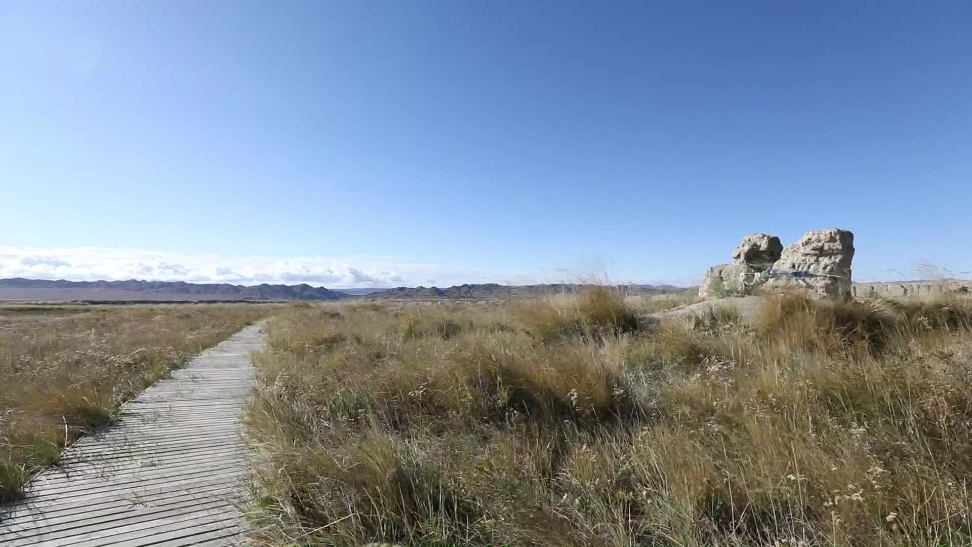 B新疆准噶尔废王城白天风吹原野视频的预览图