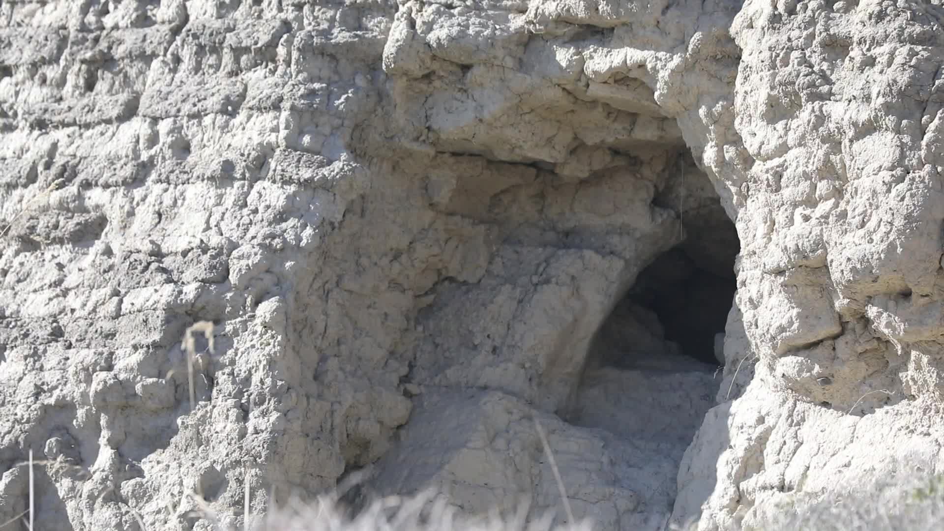 B新疆准噶尔废王城白天城墙残垣断壁视频的预览图
