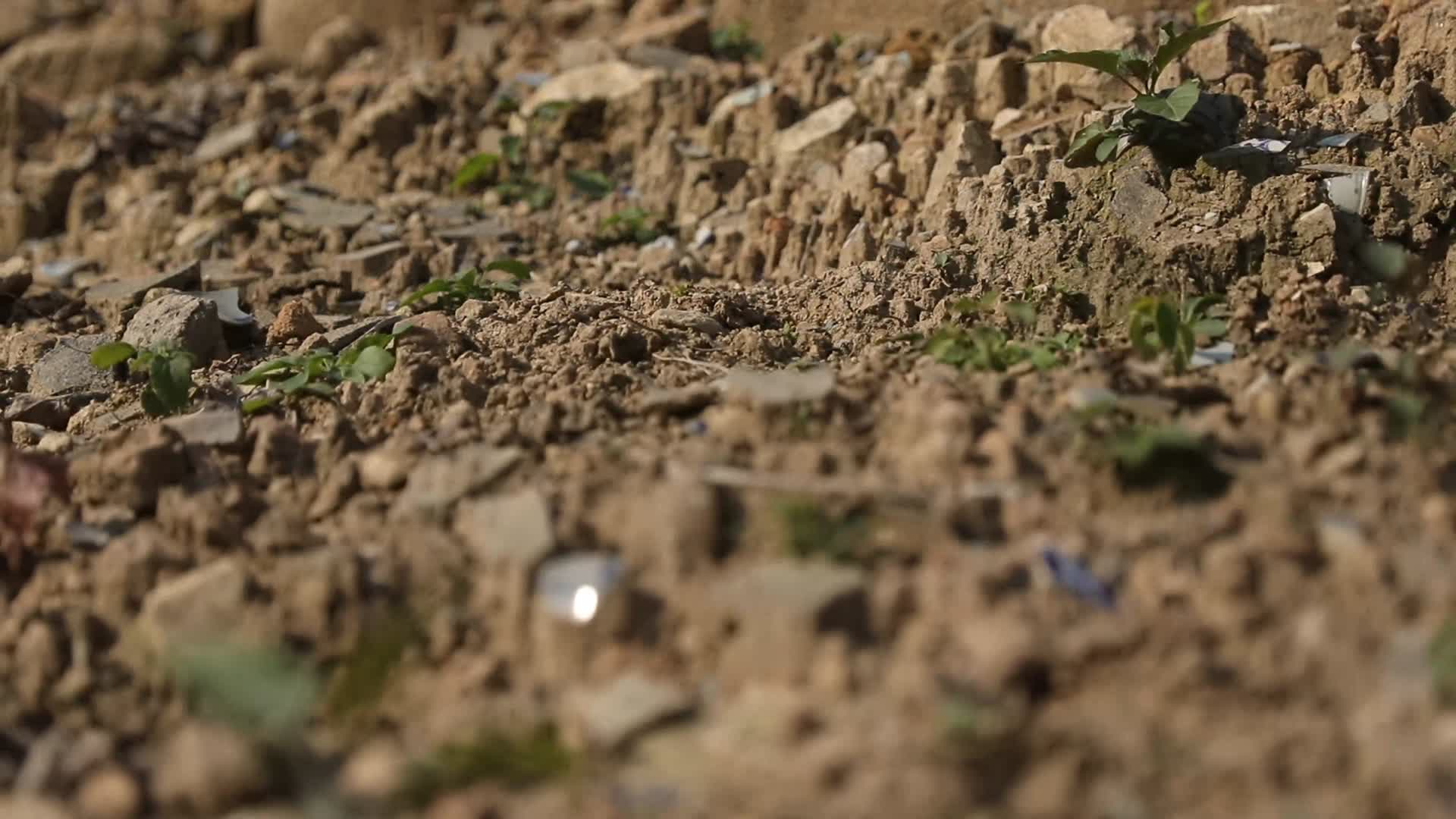 J浙江温州苍南碗窑土壤4k实拍视频视频的预览图