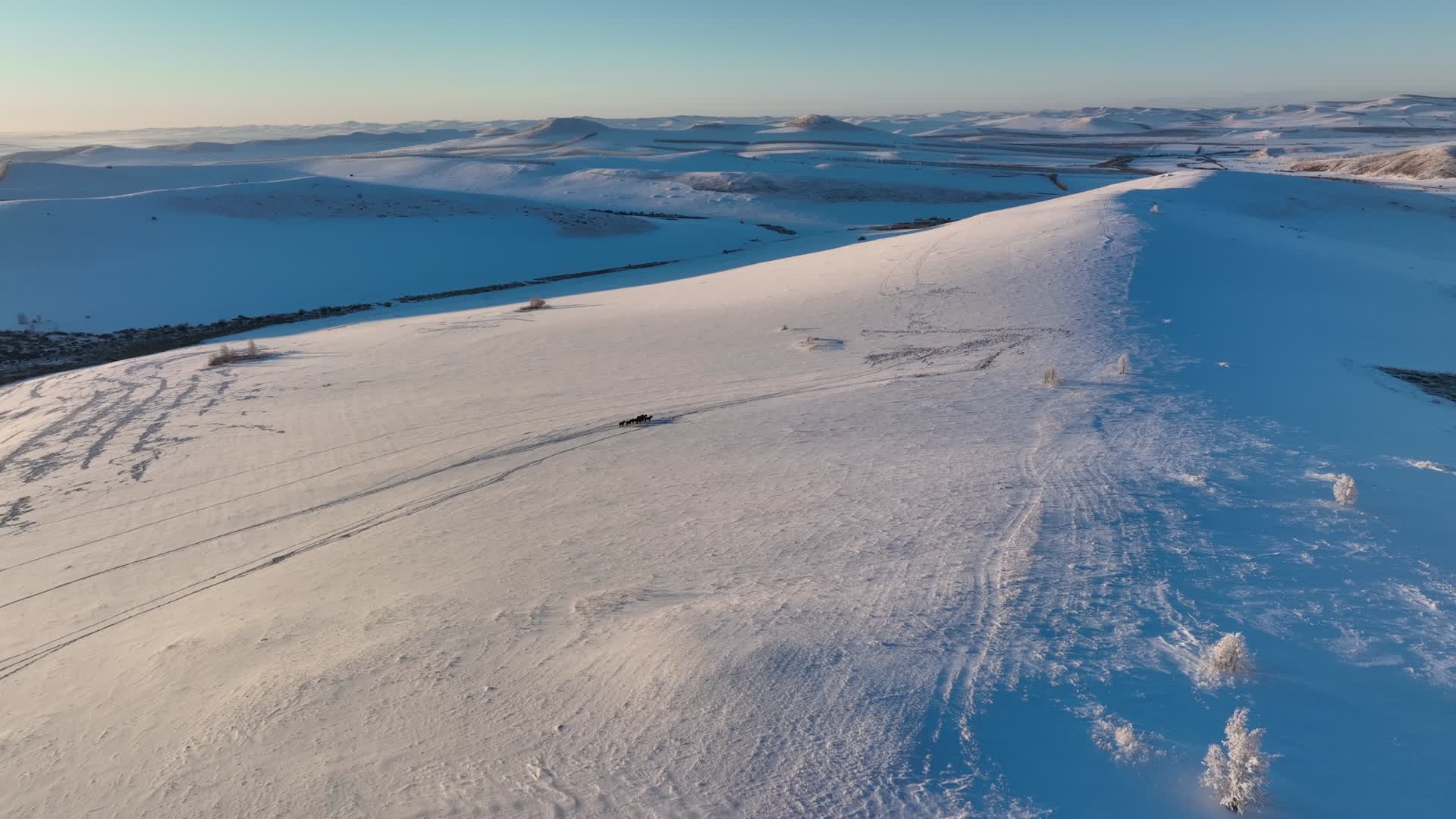 航拍大兴安岭冬季丘陵山地雪景视频的预览图