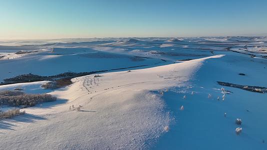 航拍大兴安岭冬季丘陵山地雪景视频的预览图