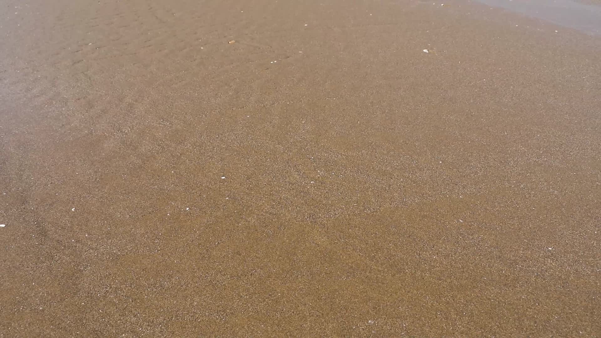 J浙江温州苍南蒲城海滩泥沙3视频的预览图