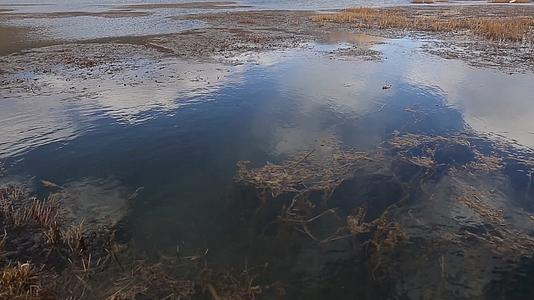 C拉鲁湿地4k实拍视频视频的预览图