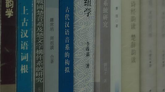 辽宁省图书馆图书馆书籍和期刊特写视频的预览图