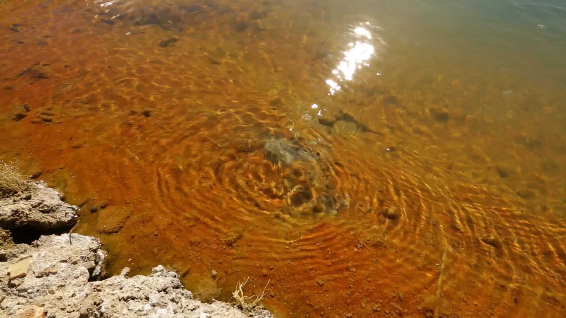 C玛旁雍错湖底特写4K实拍视频视频的预览图