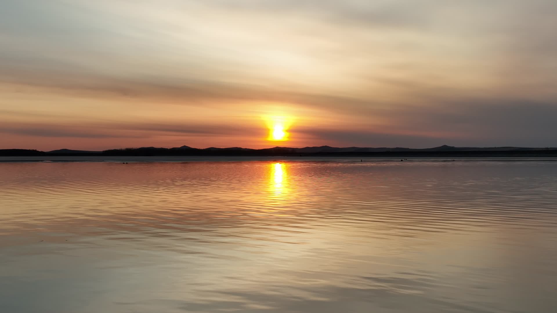 航拍北方初春水面夕阳水鸟飞禽视频的预览图