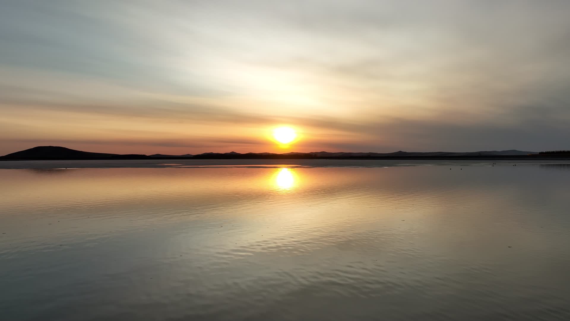 航拍北方初春水面夕阳水鸟飞禽视频的预览图