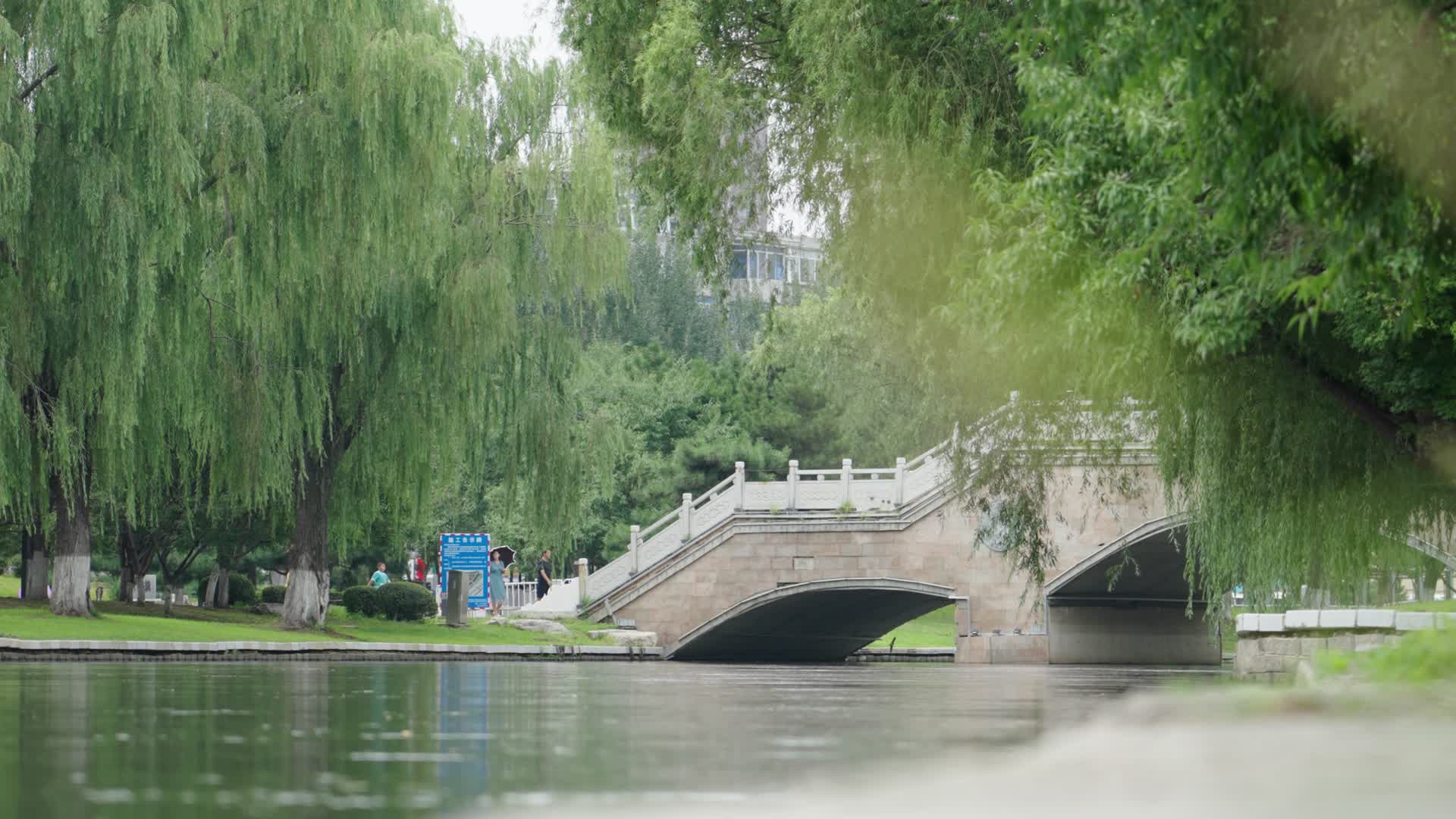 公园里的桥和河面视频的预览图