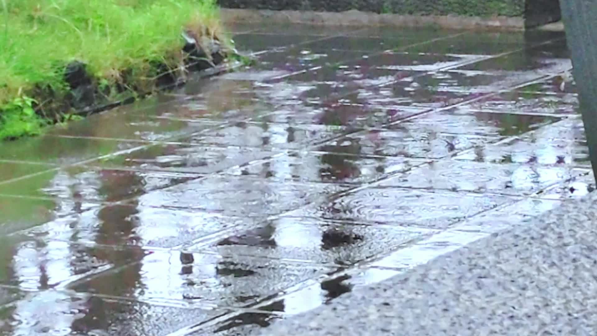 雨季下雨古镇小院青砖实拍视频视频的预览图