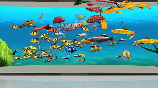 4K裸眼3D海底鱼群无缝循环视频的预览图