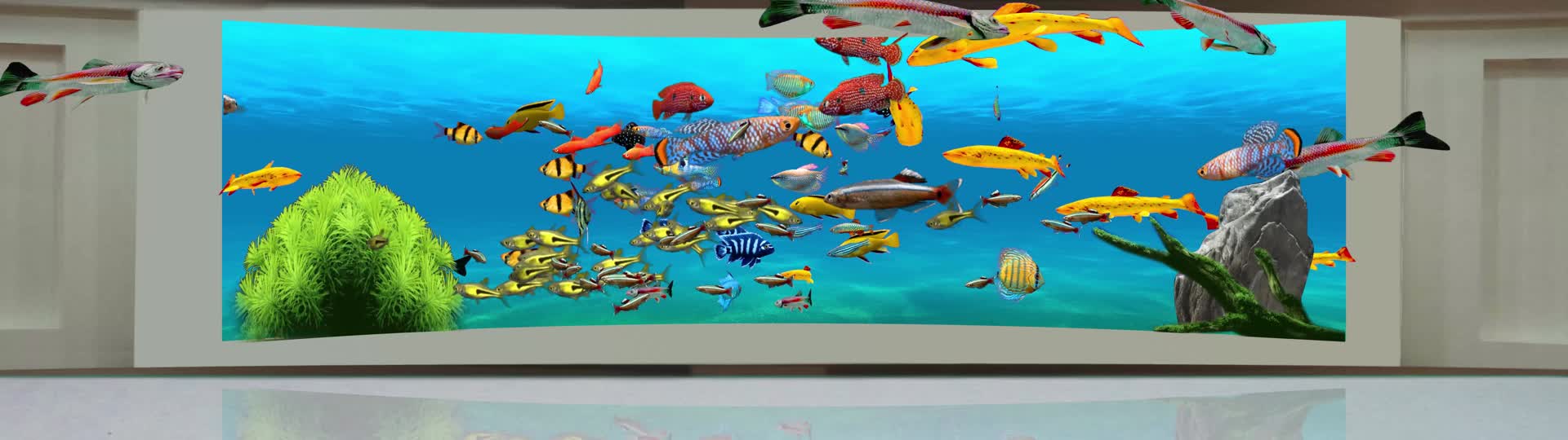 8K裸眼3D海底鱼群无缝循环视频的预览图