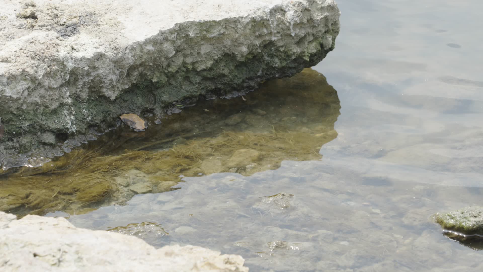 河岸边的石头视频的预览图