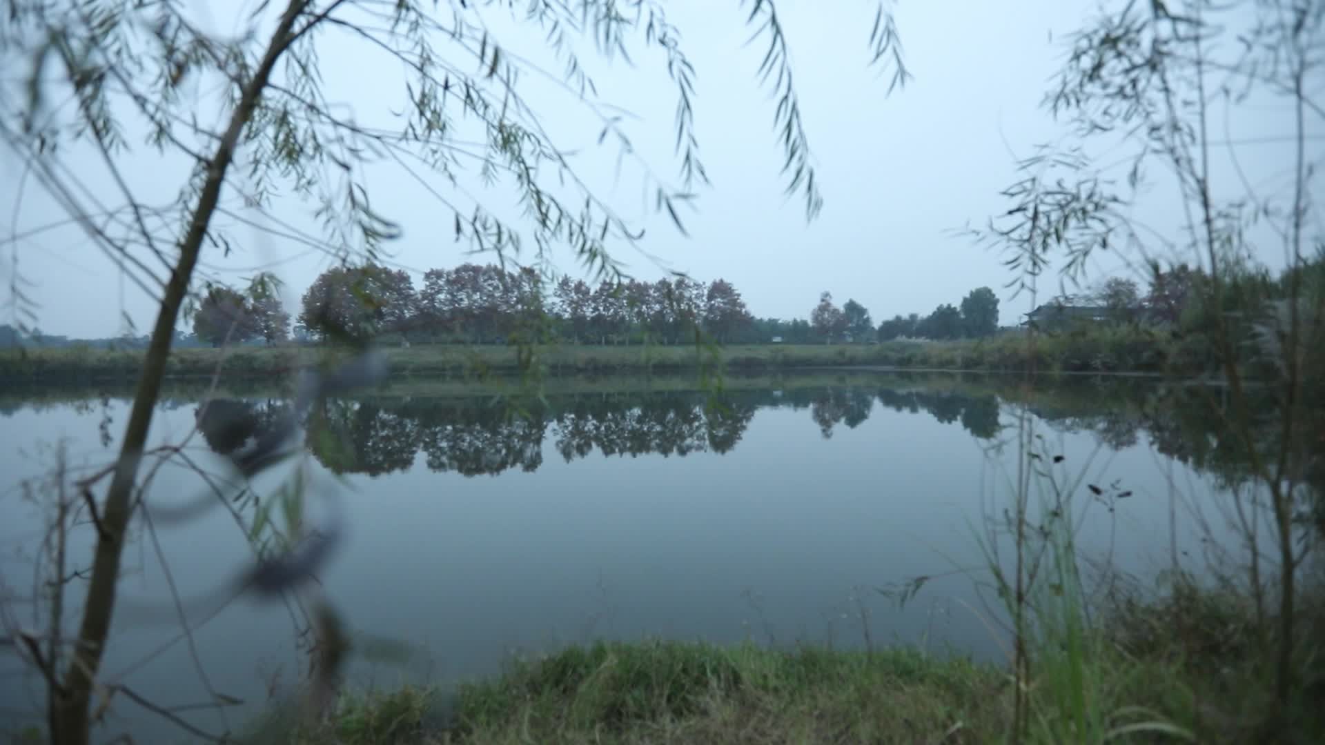 W四川成都白天河畔风景视频的预览图