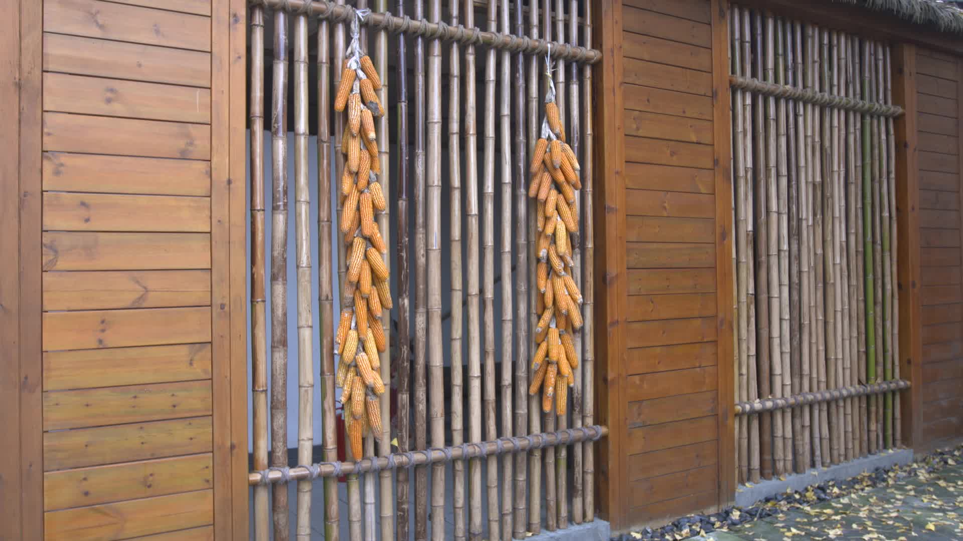 W四川成都白天房屋外挂着的玉米视频的预览图