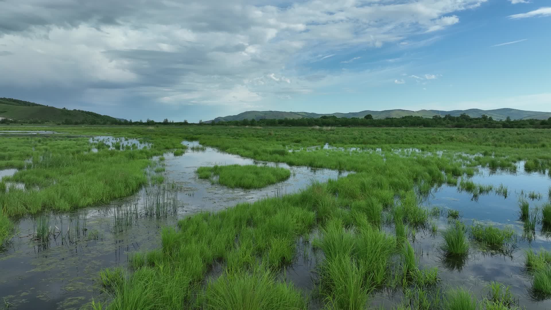 航拍大兴安岭湿地公园风景视频的预览图
