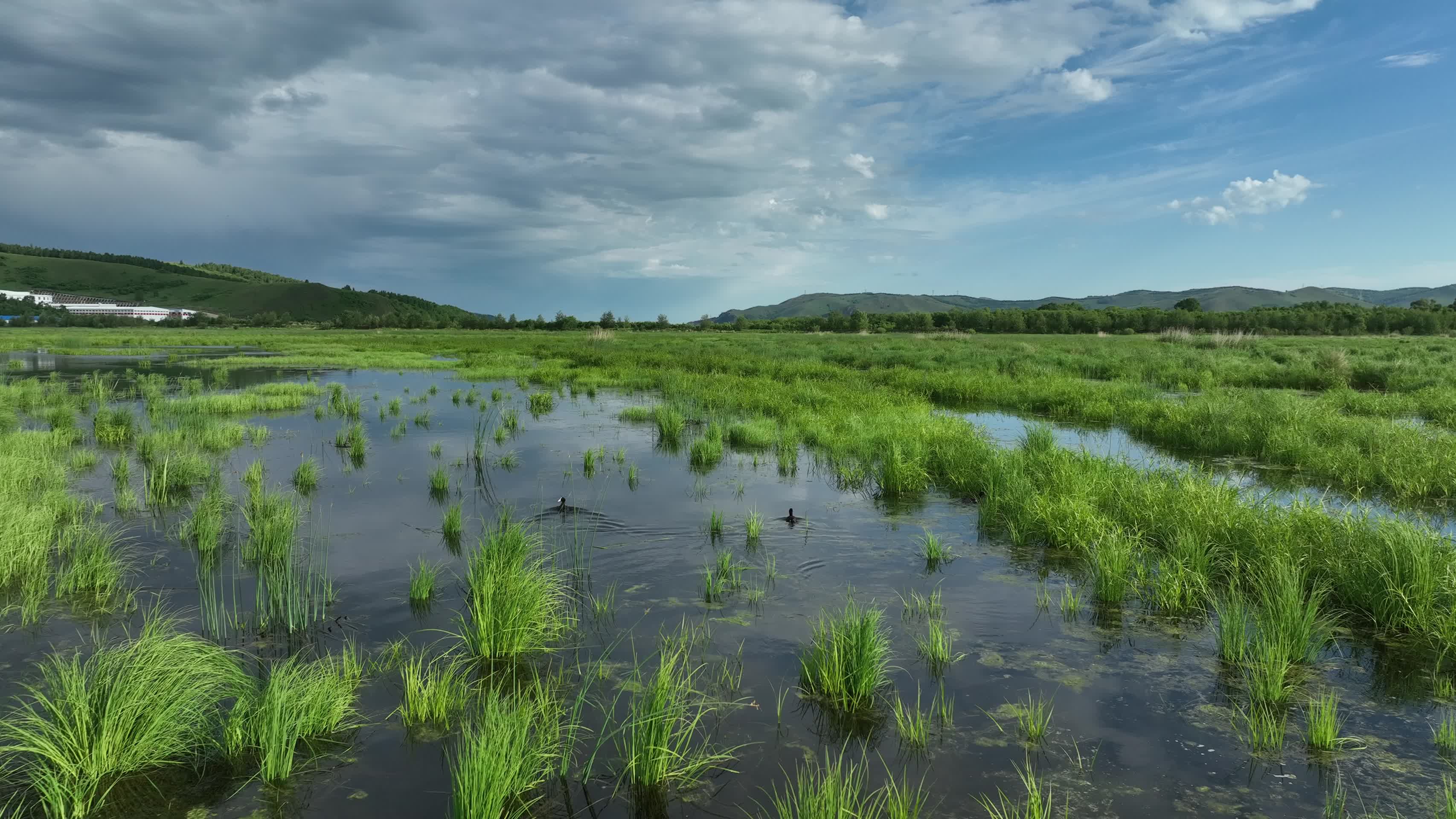 航拍大兴安岭湿地公园风景视频的预览图