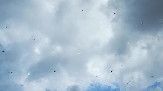 蓝天白云空中很多蜻蜓飞舞1视频的预览图