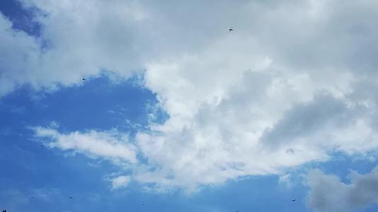 蓝天白云空中很多蜻蜓飞舞4视频的预览图
