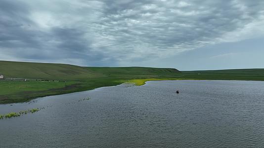 航拍草原湖泊夏日风景视频的预览图