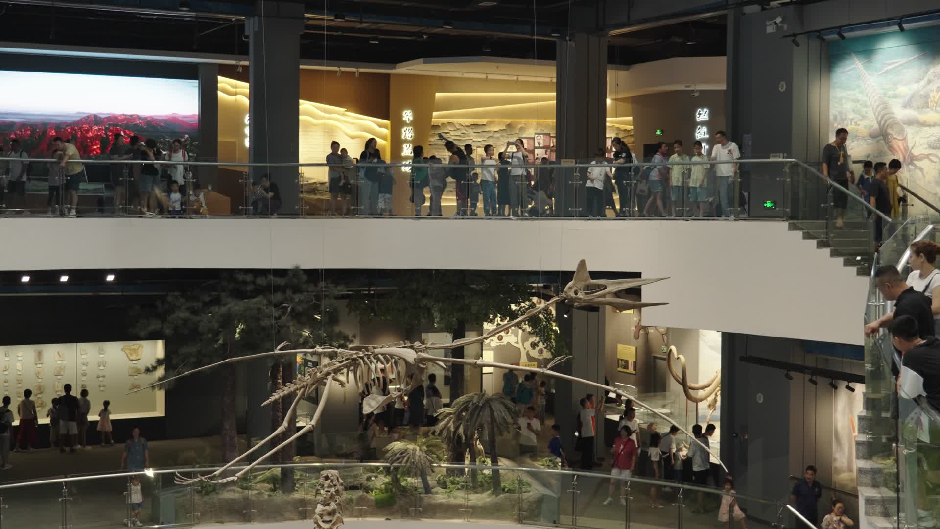 参观博物馆的游客视频的预览图
