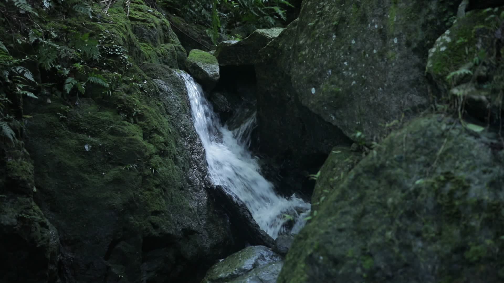 山涧泉水4k实拍视频视频的预览图