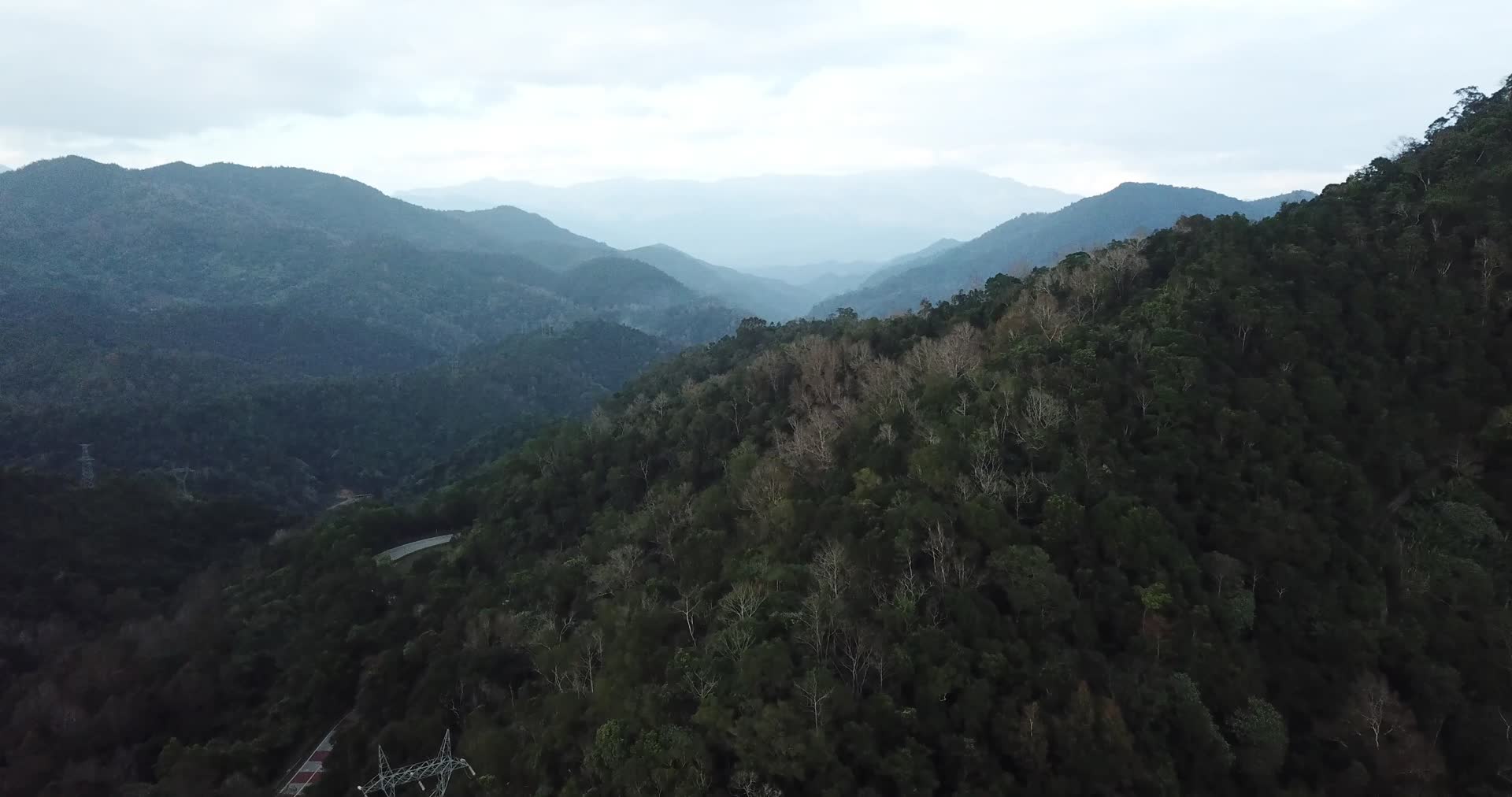 五指山树林航拍视频视频的预览图