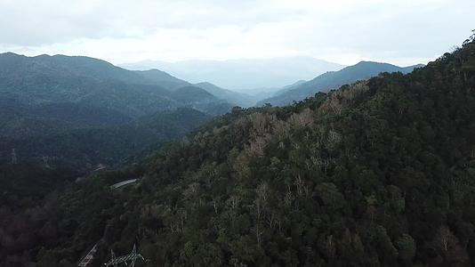 五指山树林航拍视频视频的预览图