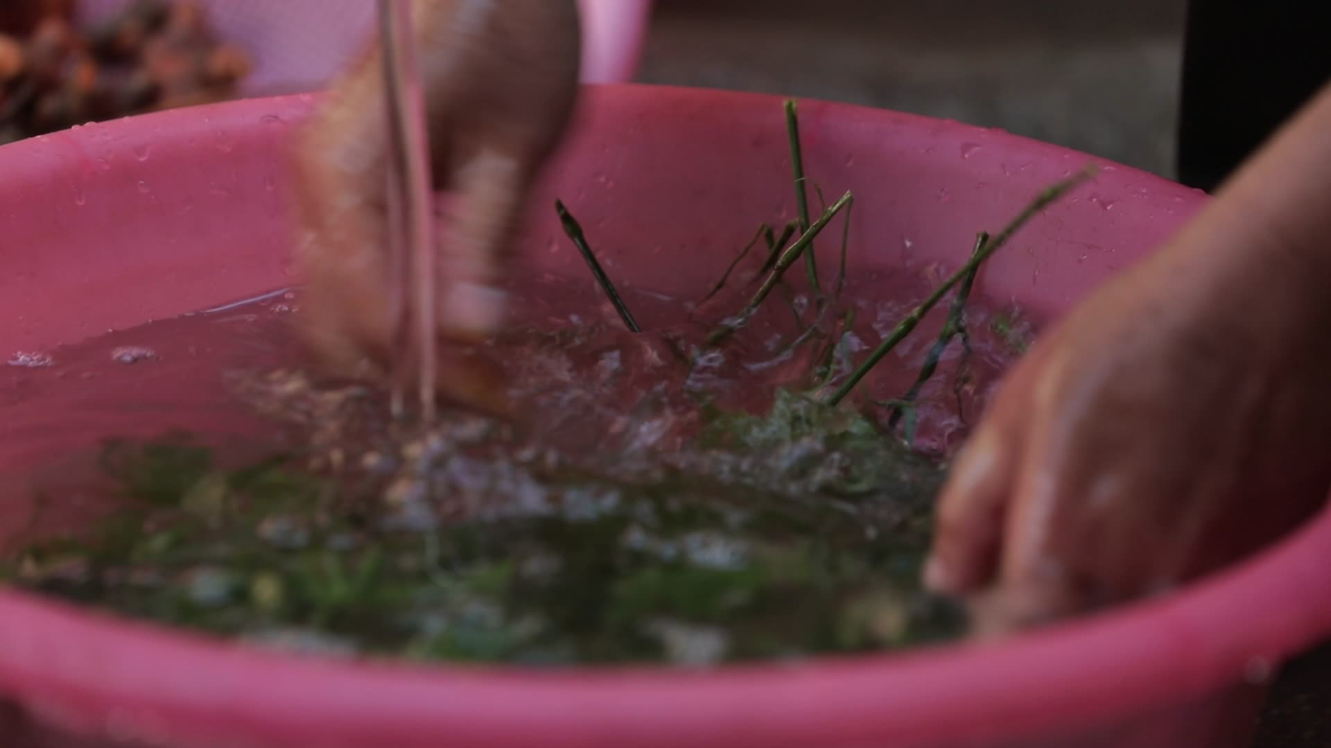 农家乐洗菜慢镜头视频视频的预览图