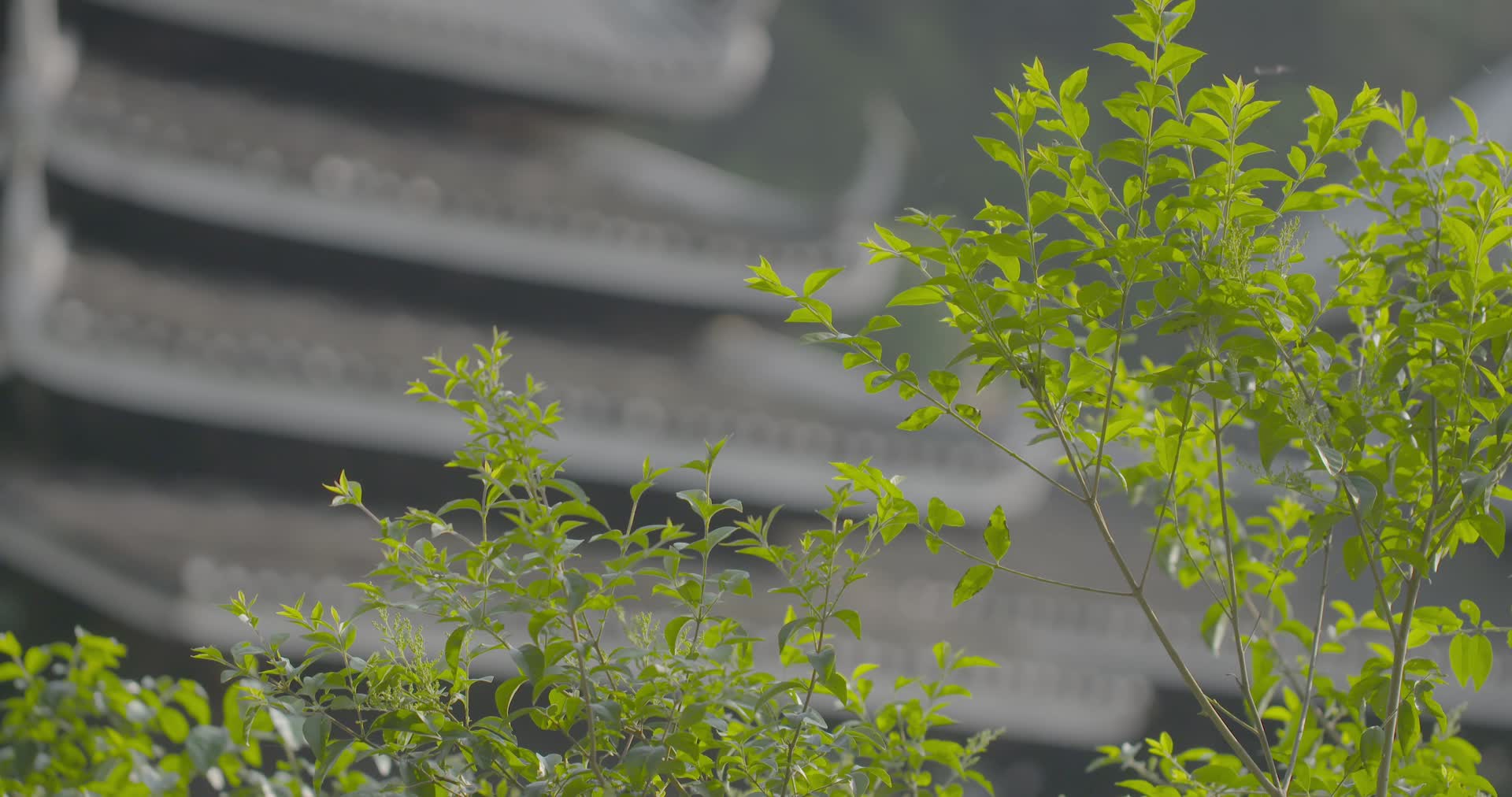 广西三江程阳桥4k实拍空镜头视频的预览图