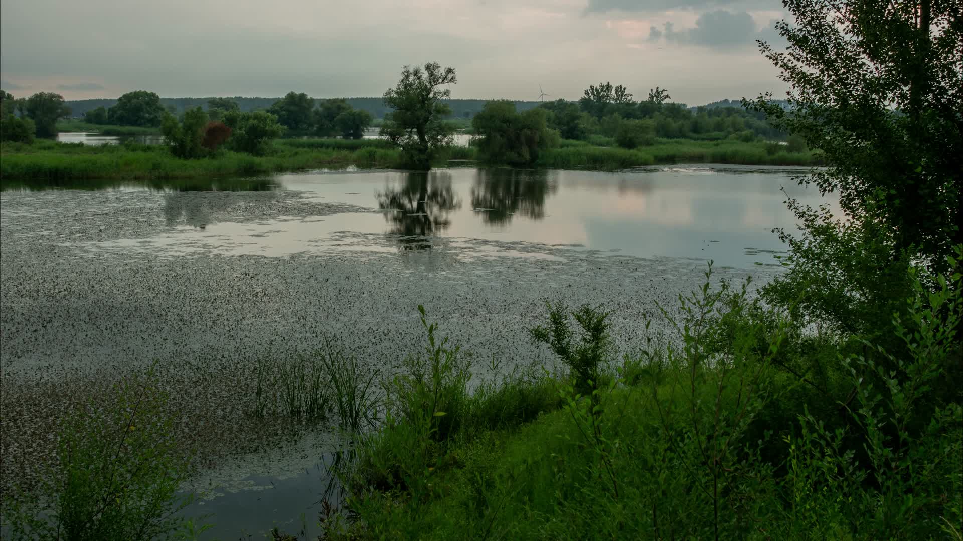 湿地河流辽河七星湿地乌云下雨视频的预览图
