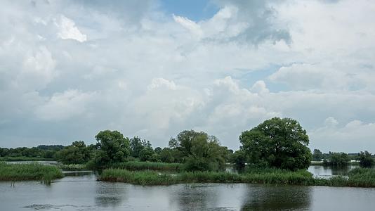 湿地河流辽河七星湿地树水草延时摄影视频的预览图
